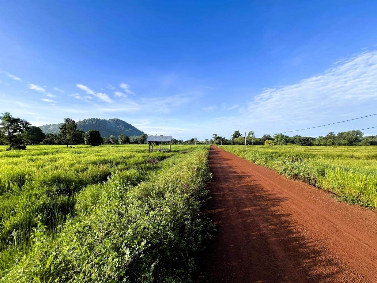 The Little Vegan Homestay Phumi Banteay Srei Ngoại thất bức ảnh